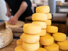 Vinifera - Trento Expo