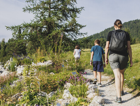 Viote MACROtour - Giardino Botanico Alpino delle Viote