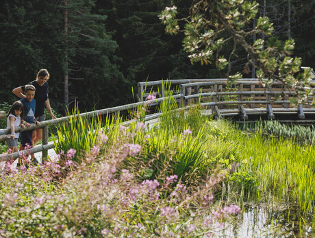 Viotemacrotour - Viote Alpine Botanical Garden