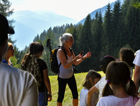 Visit to the ancient mines in Rumo (short tour)