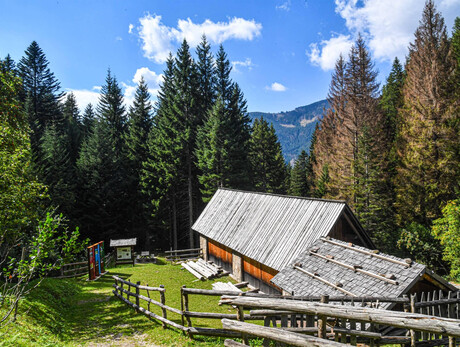 Guided tour at Sog van Rindel sawmill