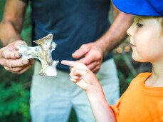 Visita alla Valle dello Sporeggio, Oasi WWF