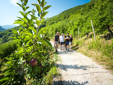 Visita alla Valle dello Sporeggio, Oasi WWF