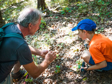 Visita alla Valle dello Sporeggio, Oasi WWF