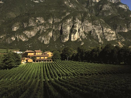 Visita e degustazione a San Leonardo