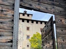Guided tour of Castel Nanno and a chestnut in its gardens