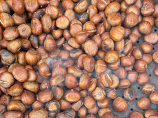 Guided tour of Castel Nanno and a chestnut in its gardens