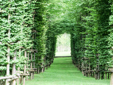 Escursione guidata ad Arte Sella