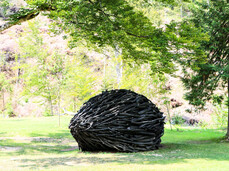 Escursione guidata ad Arte Sella