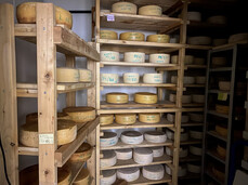 Visita guidata all'Azienda Agricola Sicherhof