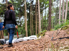 Guided tour of the mushroom farm in the forest
