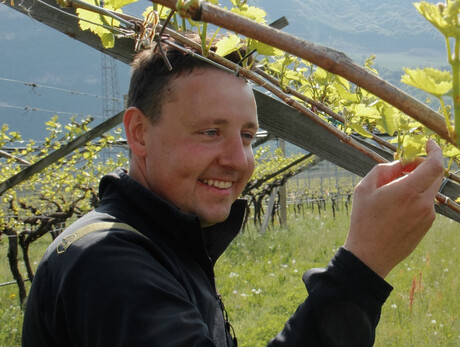 Tours and tastings in Breccia Winery