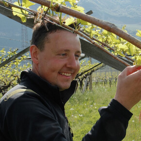 Tours and tastings in Breccia Winery