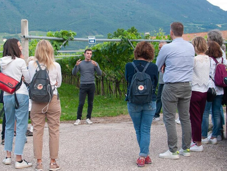 Visits and tasting - Elio Endrizzi Winery