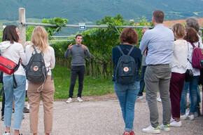 Visits and tasting - Elio Endrizzi Winery