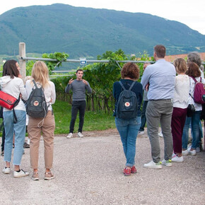 Visits and tasting - Elio Endrizzi Winery