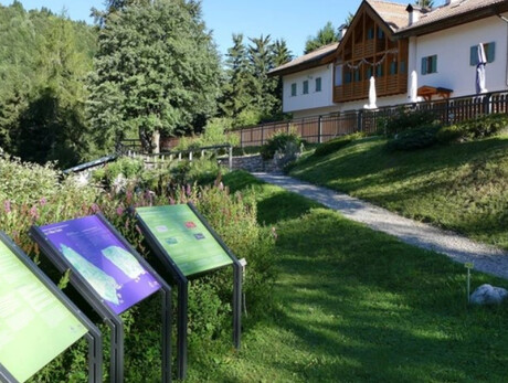 Leben von Wölfen - Botanischer Alpengarten Viote