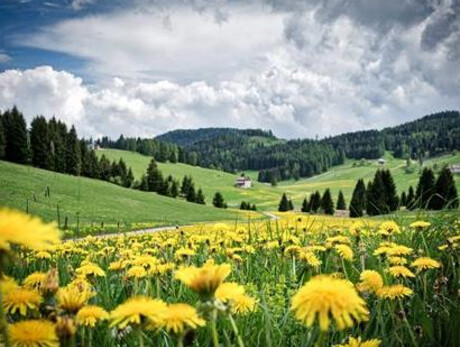 Vivi Tesino: Camminando in Tesino