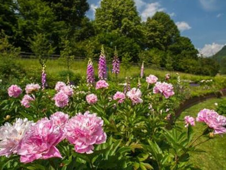 VIVI TESINO: VISITA CULTURALE AL MUSEO DE GASPERI E AL GIARDINO D'EUROPA