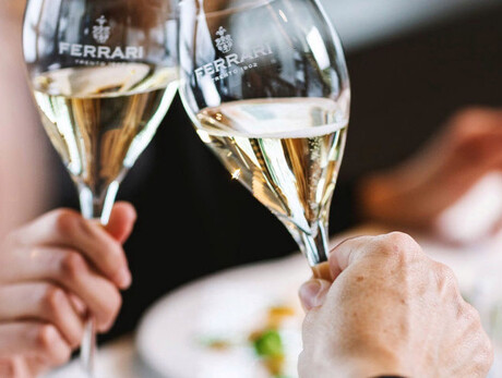 Weekend in the Cellar - Trentino Wine and Food Trail