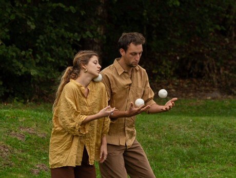 Collettivo Tigua in Achillea
