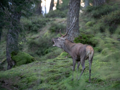 Con gli occhi del fotografo