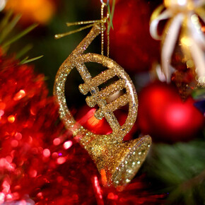 Concerto-Natale