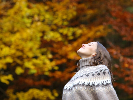 The magic of the woods