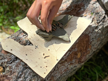 Piccoli architetti del bosco