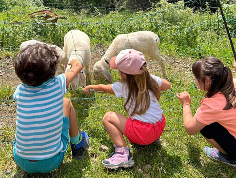 Piccoli pastori_PH Funivie Buffaure