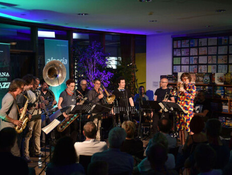 Panorama musica sweet alps orchestra