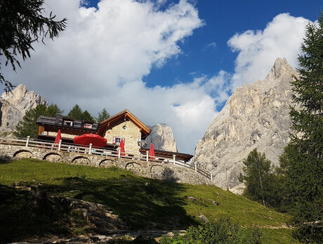 Albe in malga - Rifugio Contrin_2