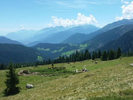 Alla scoperta delle erbe e del metodo Kneipp