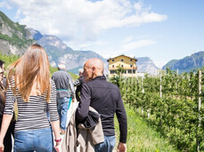 Asparagi, dalla terra alla tavola