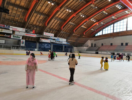 Carnevale sul ghiaccio!