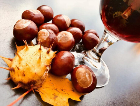 Castagnata in piazza a Revò