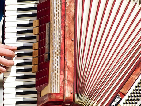 La foto mostra una persona mentre suona la fisarmonica