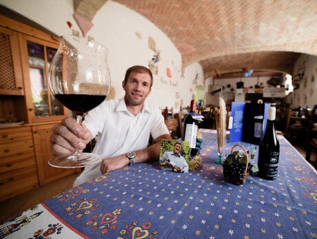 Degustazioni in cantina El Zeremia