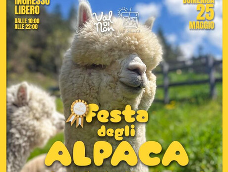 Festa degli Alpaca