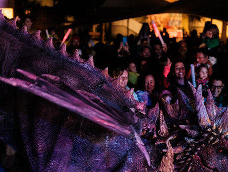 Nell'immagine una scena della fiammiferata di "Shrek" durante una scena del drago 