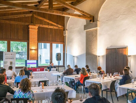 The image shows a room with exposed beams where a masterclass on Trentino wines is taking place. There are seven tables with 17 people seated, tasting multiple glasses of red wine. In the background, the speaker is discussing new grape varieties resistant to fungal diseases.
