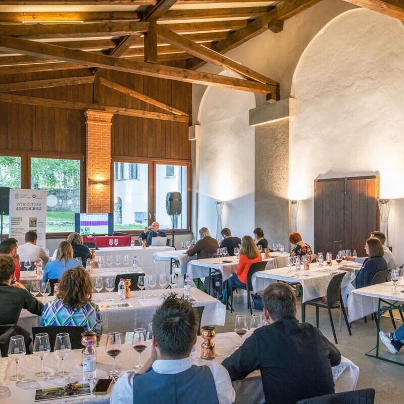 Mostra del Teroldego Rotaliano - Guida - Eventi - Trentino