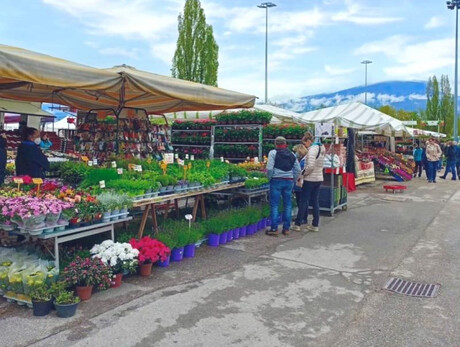 "May in Cles" agricultural market exhibition