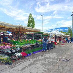 "May in Cles" agricultural market exhibition