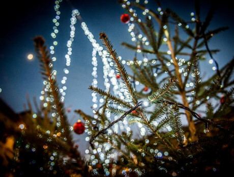 Note di Natale a Mechel