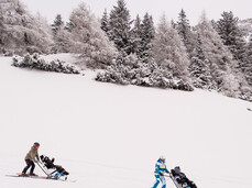 On a snowy slope, two ski instructors ski pushing two mono-skis with two other people on board.  Snow-covered trees form the backdrop to the scene, under a grey winter sky.