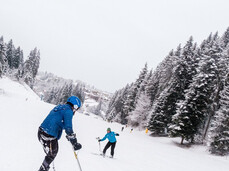 A ski instructor gives a lesson to a person with disability in Paganella. It is snowing and the trees at the sides of the slope are laden with snow.