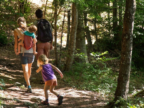 A family is walking along the Monte di Mezzocorona trail. The mother is carrying the youngest child on her shoulders, while the 4-year-old girl explores the path behind her parents. They are dressed in shorts and t-shirts, and from the light, it is clear that it is a beautiful day. The forest is dense and very green. They seem to be having fun.