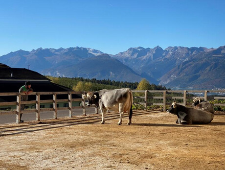 SunsetHof - wine&amp;formai