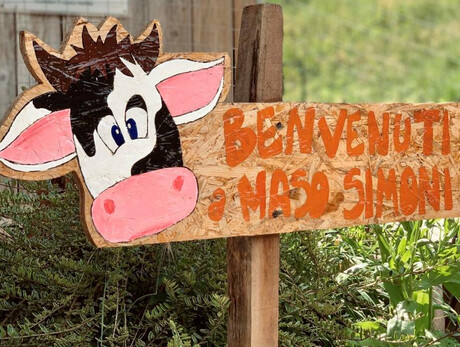 Una mattina in fattoria a Maso Simoni